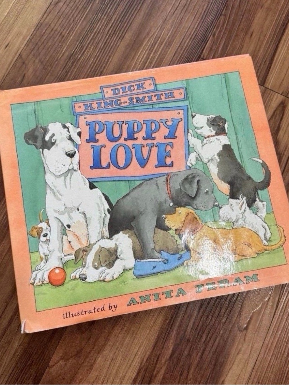 Puppy Love by Dick King-Smith, illustrated by Anita Jeram. A charming hardcover